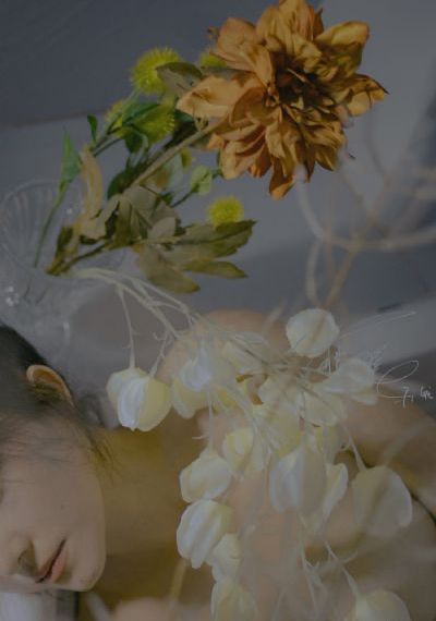 第四滴血_高清在线观看高清